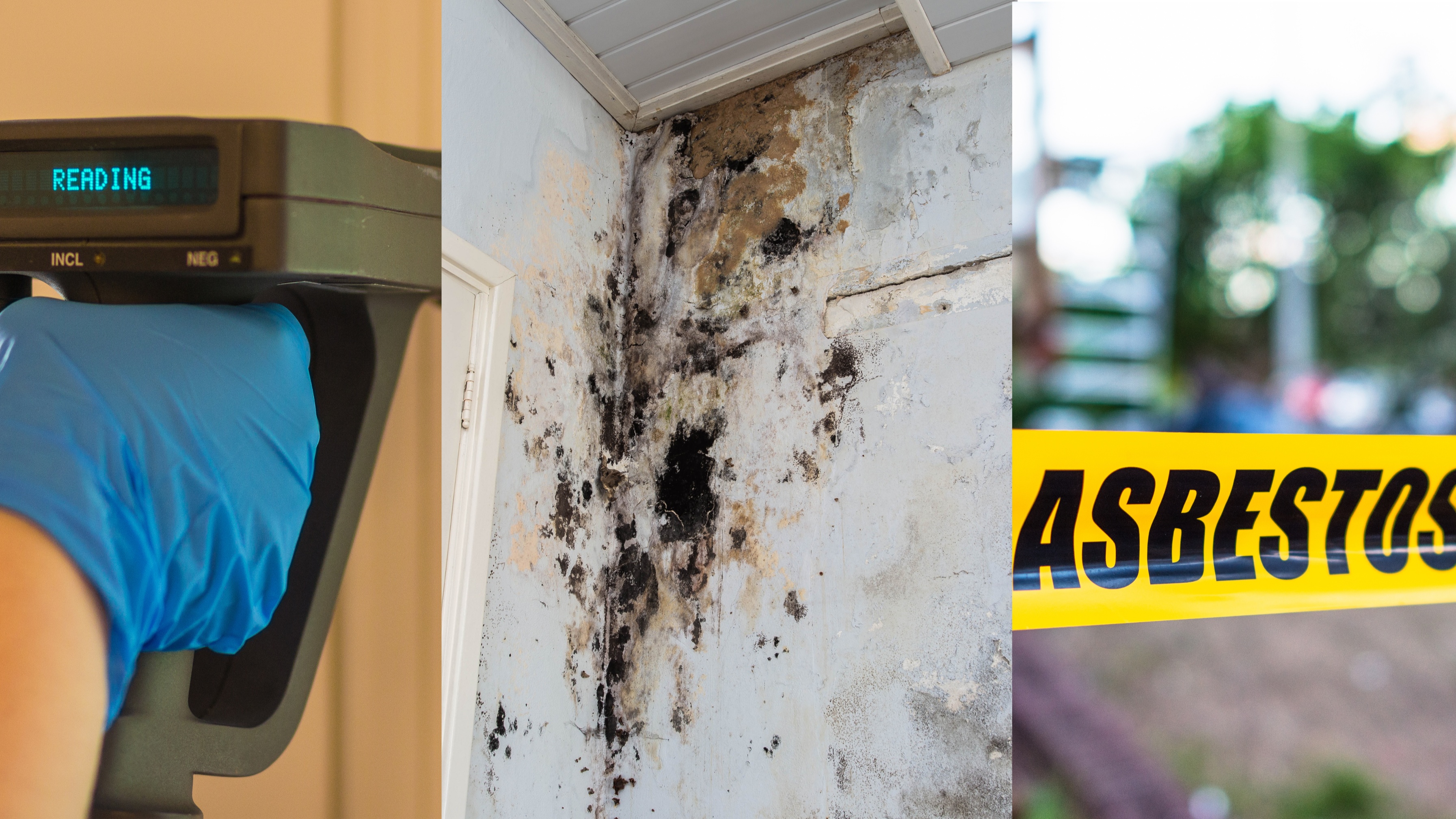 Lead vs. Asbestos vs. Mold: Understanding the Differences